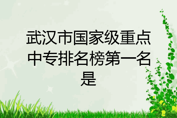 武汉市国家级重点中专排名榜第一名是
