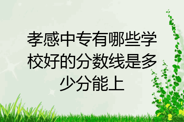 孝感中专有哪些学校好的分数线是多少分能上
