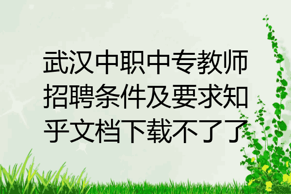 武汉中职中专教师招聘条件及要求知乎文档下载不了了