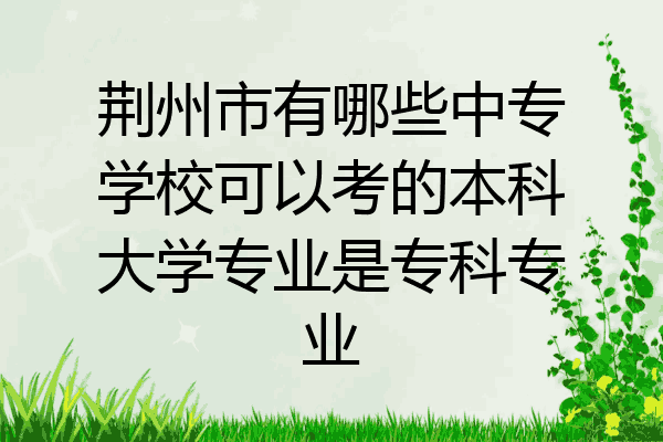 荆州市有哪些中专学校可以考的本科大学专业是专科专业