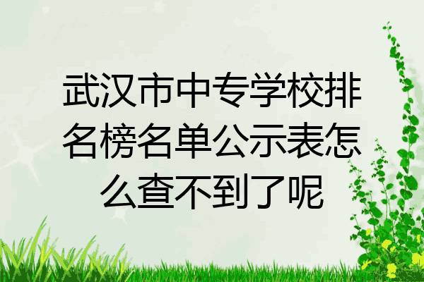 武汉市中专学校排名榜名单公示表怎么查不到了呢