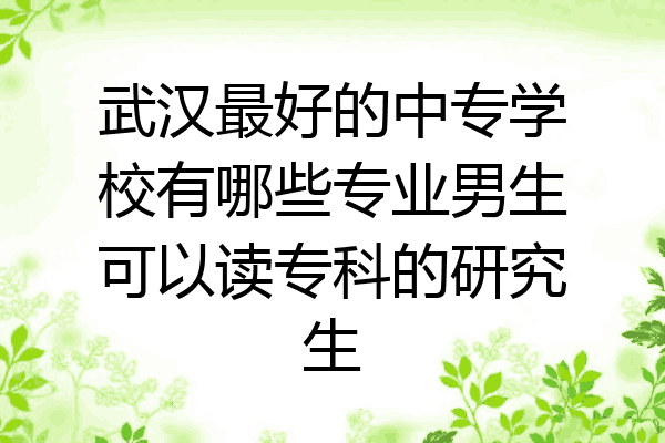 武汉最好的中专学校有哪些专业男生可以读专科的研究生