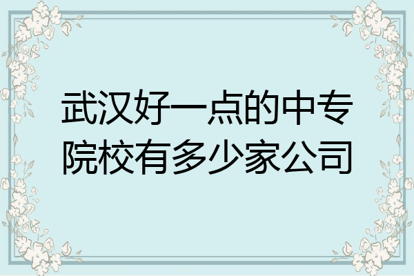 武汉好一点的中专院校有多少家公司