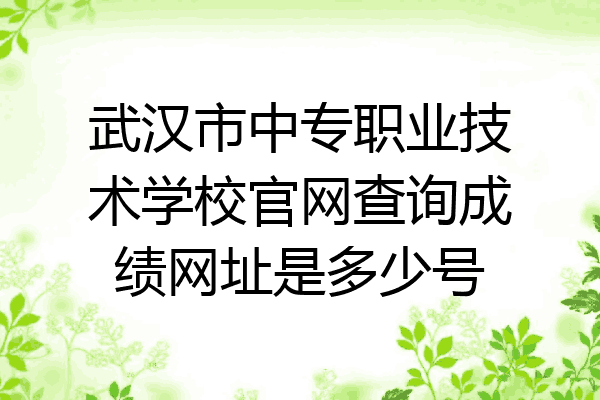 武汉市中专职业技术学校官网查询成绩网址是多少号