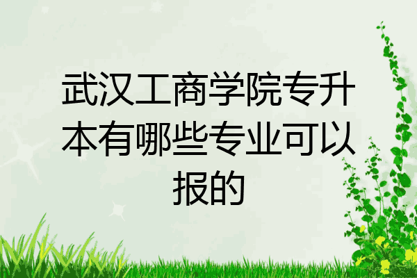 武汉工商学院专升本有哪些专业可以报的