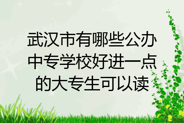 武汉市有哪些公办中专学校好进一点的大专生可以读