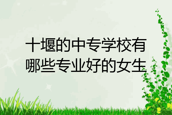 十堰的中专学校有哪些专业好的女生
