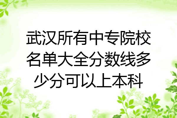 武汉所有中专院校名单大全分数线多少分可以上本科