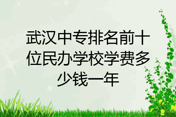 武汉中专排名前十位民办学校学费多少钱一年