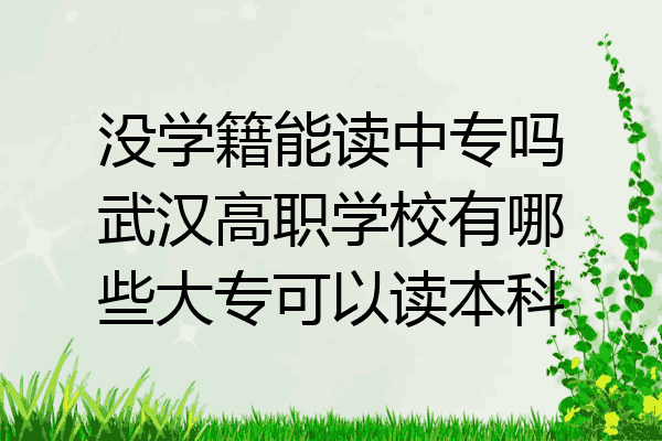 没学籍能读中专吗武汉高职学校有哪些大专可以读本科