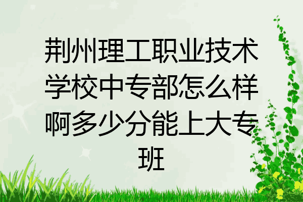荆州理工职业技术学校中专部怎么样啊多少分能上大专班
