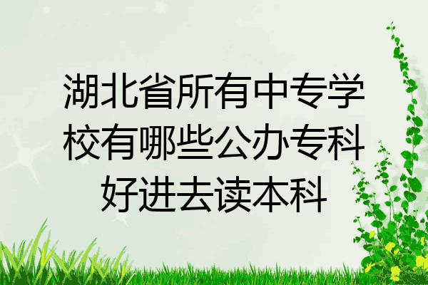 湖北省所有中专学校有哪些公办专科好进去读本科