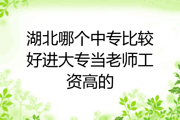 湖北哪个中专比较好进大专当老师工资高的