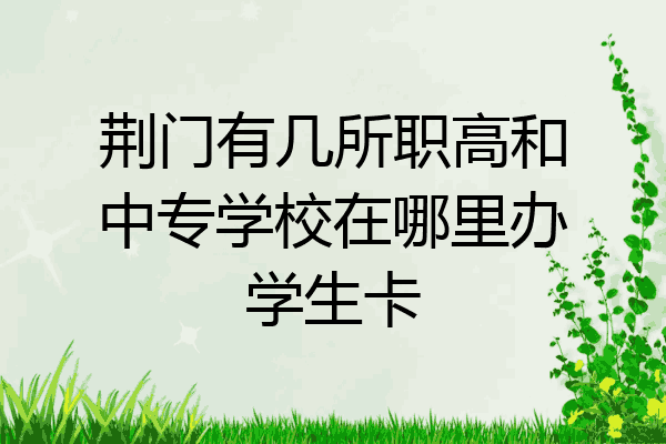 荆门有几所职高和中专学校在哪里办学生卡