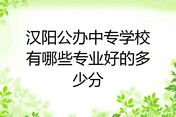汉阳公办中专学校有哪些专业好的多少分