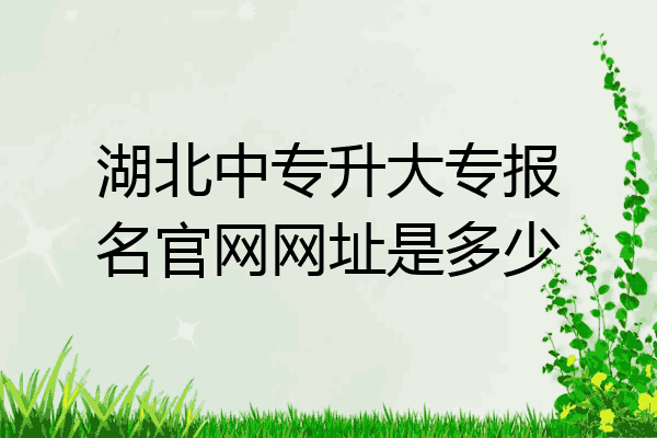 湖北中专升大专报名官网网址是多少