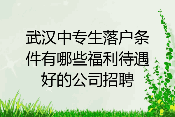 武汉中专生落户条件有哪些福利待遇好的公司招聘