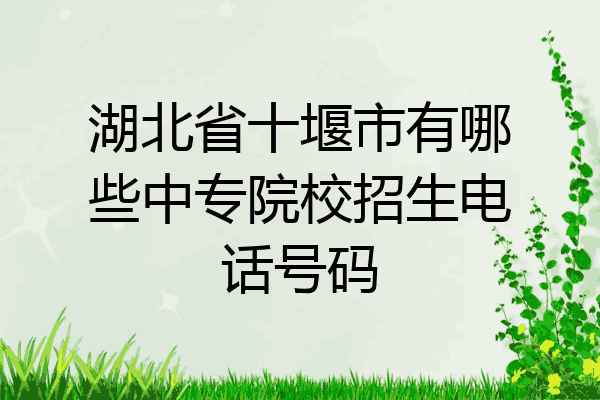 湖北省十堰市有哪些中专院校招生电话号码