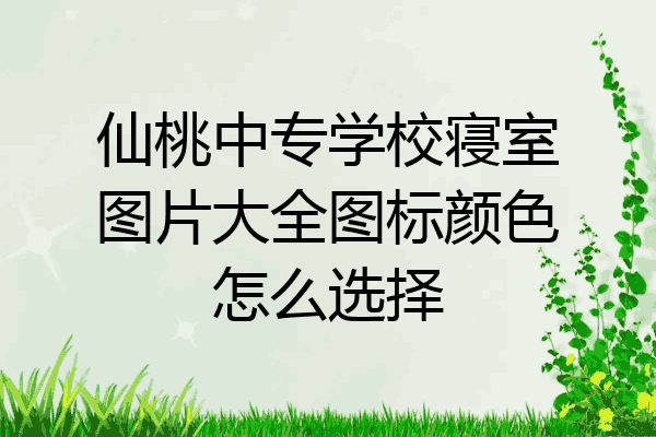 仙桃中专学校寝室图片大全图标颜色怎么选择
