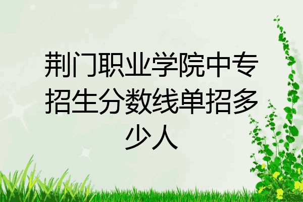 荆门职业学院中专招生分数线单招多少人