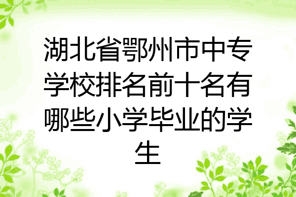 湖北省鄂州市中专学校排名前十名有哪些小学毕业的学生