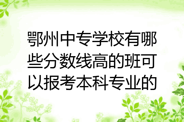 鄂州中专学校有哪些分数线高的班可以报考本科专业的