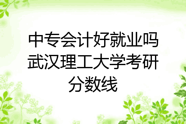 中专会计好就业吗武汉理工大学考研分数线