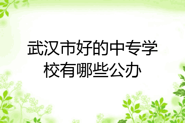 武汉市好的中专学校有哪些公办