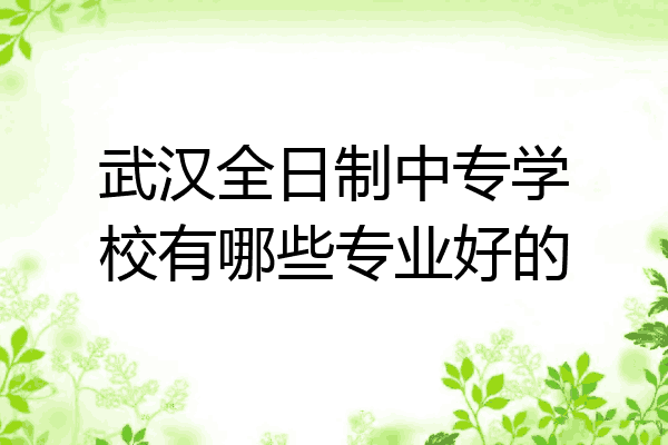 武汉全日制中专学校有哪些专业好的