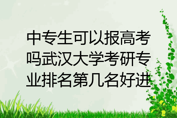 中专生可以报高考吗武汉大学考研专业排名第几名好进