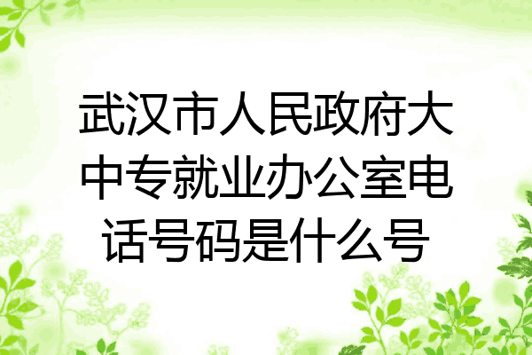 武汉市人民政府大中专就业办公室电话号码是什么号