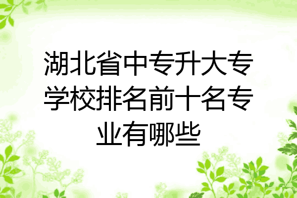 湖北省中专升大专学校排名前十名专业有哪些