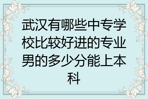 武汉有哪些中专学校比较好进的专业男的多少分能上本科