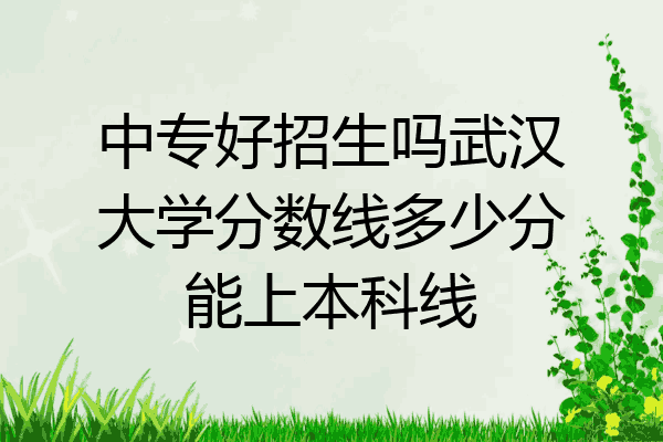 中专好招生吗武汉大学分数线多少分能上本科线