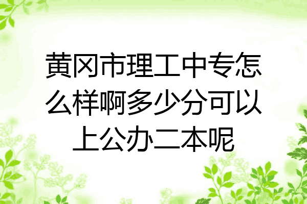黄冈市理工中专怎么样啊多少分可以上公办二本呢