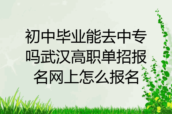 初中毕业能去中专吗武汉高职单招报名网上怎么报名