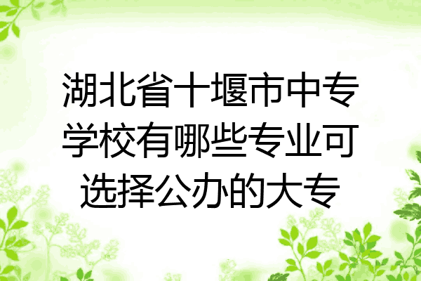 湖北省十堰市中专学校有哪些专业可选择公办的大专