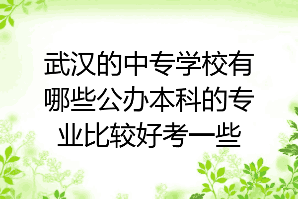 武汉的中专学校有哪些公办本科的专业比较好考一些
