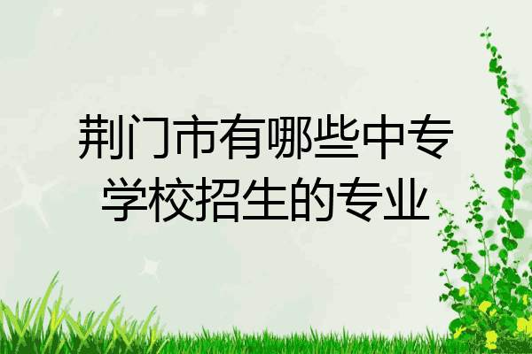 荆门市有哪些中专学校招生的专业