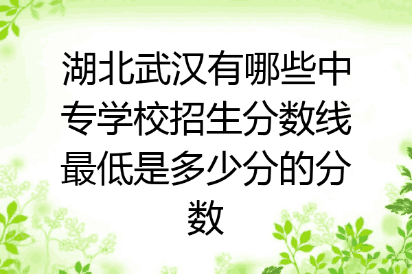 湖北武汉有哪些中专学校招生分数线最低是多少分的分数
