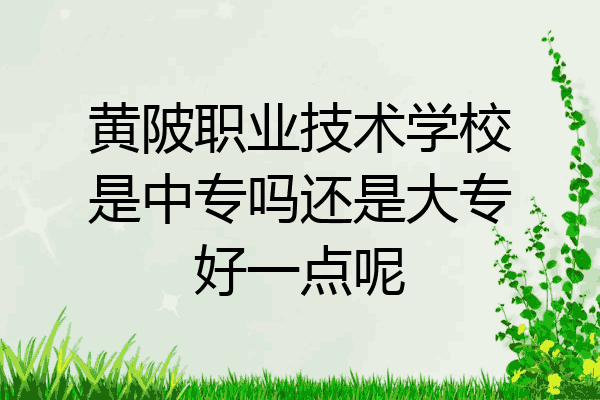 黄陂职业技术学校是中专吗还是大专好一点呢