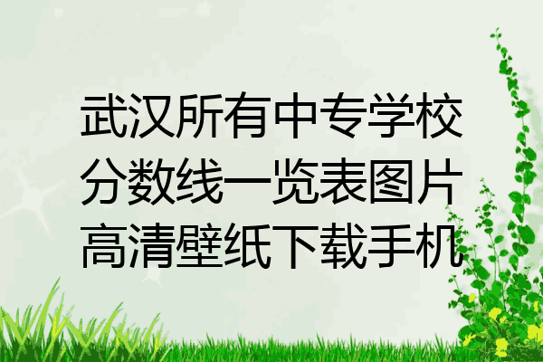 武汉所有中专学校分数线一览表图片高清壁纸下载手机