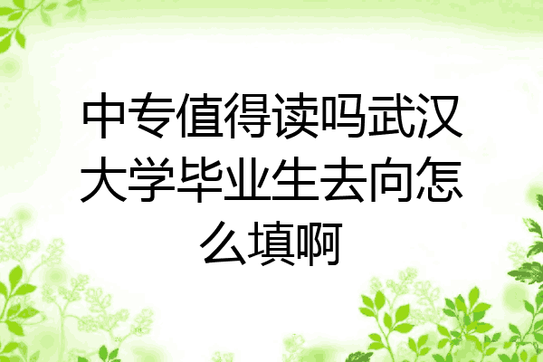 中专值得读吗武汉大学毕业生去向怎么填啊