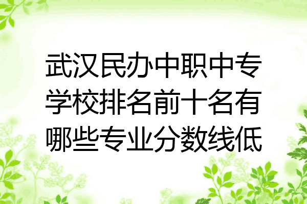 武汉民办中职中专学校排名前十名有哪些专业分数线低