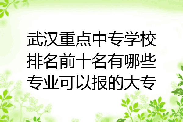 武汉重点中专学校排名前十名有哪些专业可以报的大专