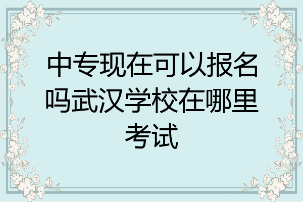 中专现在可以报名吗武汉学校在哪里考试