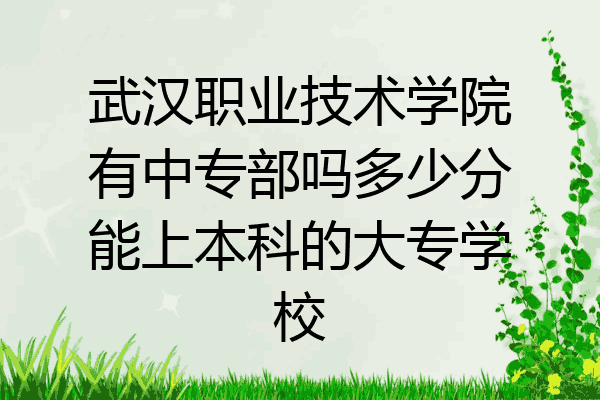 武汉职业技术学院有中专部吗多少分能上本科的大专学校