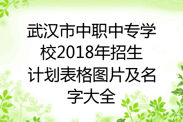 武汉市中职中专学校2018年招生计划表格图片及名字大全
