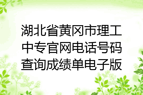 湖北省黄冈市理工中专官网电话号码查询成绩单电子版