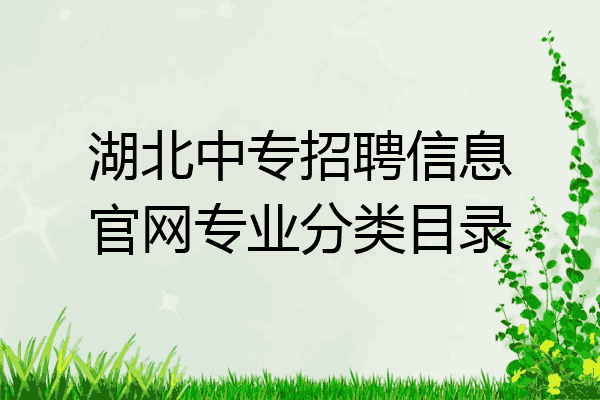 湖北中专招聘信息官网专业分类目录